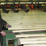 Southern Yellow Pine: Sustainability and Applications Southern Yellow Pine: Sustainability and Applications